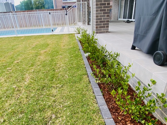mulched garden bed