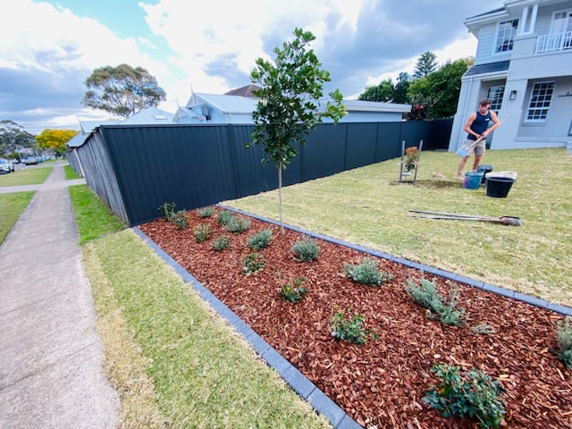 front yard garden bed