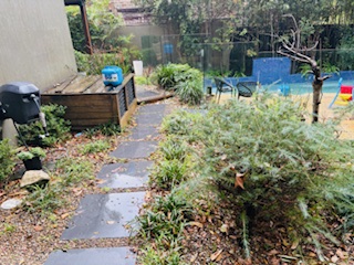 Garden-path-with-large-paved-steppers